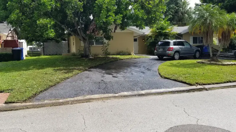 Same yard after cleanup