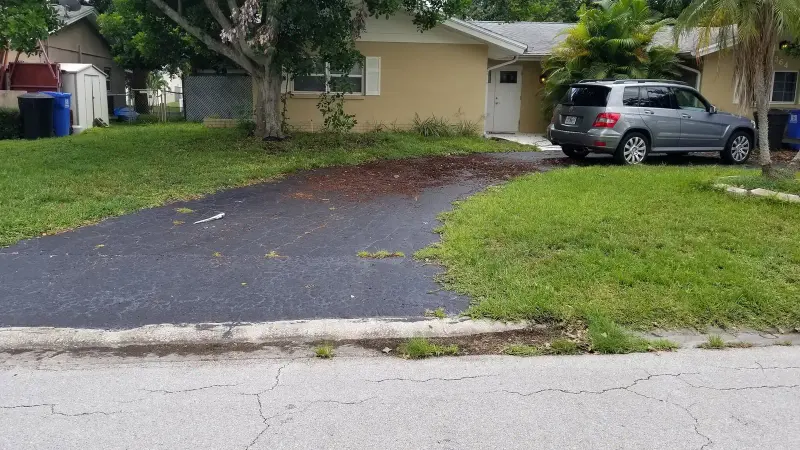 Overgrown yard before cleanup