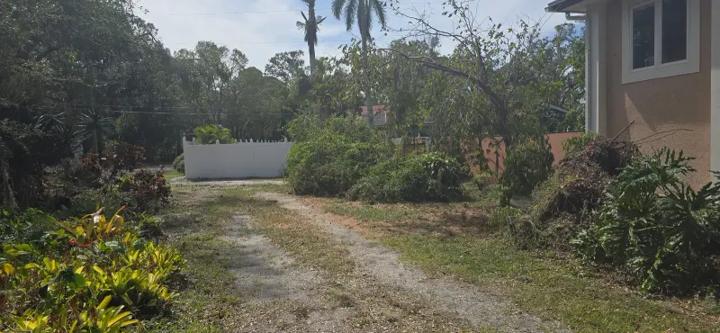 Same yard cleared after removal